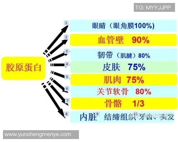 世界足球明星的寿命揭秘与健康生活方式的关系探讨